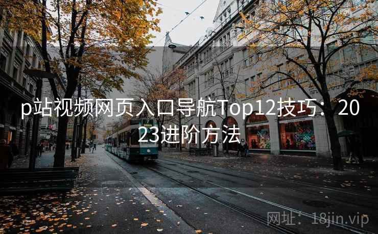 p站视频网页入口导航Top12技巧:2023进阶方法 第2张 p站视频网页入口导航Top12技巧:2023进阶方法 第2张
