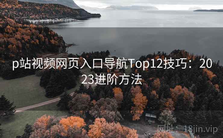 p站视频网页入口导航Top12技巧:2023进阶方法 第1张 p站视频网页入口导航Top12技巧:2023进阶方法 第1张