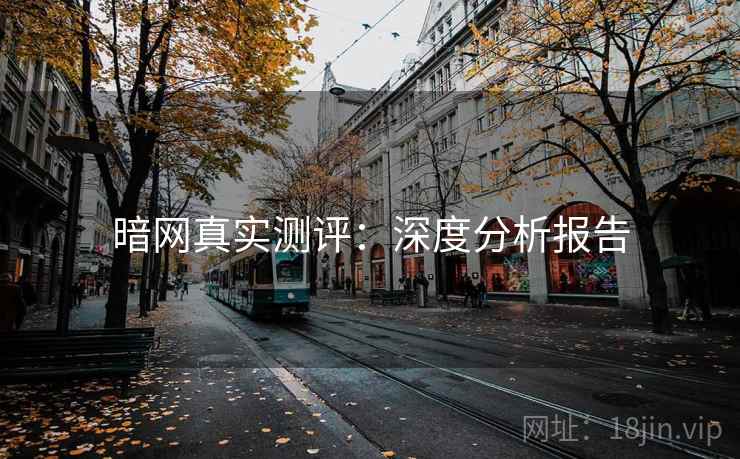 暗网真实测评:深度分析报告 第2张 暗网真实测评:深度分析报告 第2张