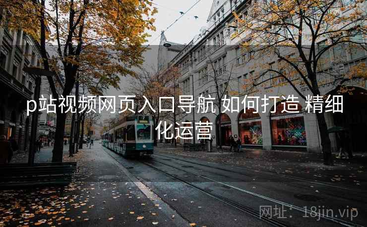 p站视频网页入口导航 如何打造 精细化运营  第2张