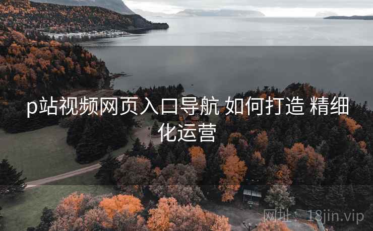 p站视频网页入口导航 如何打造 精细化运营  第1张