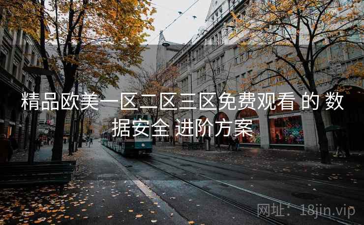 精品欧美一区二区三区免费观看 的 数据安全 进阶方案  第2张
