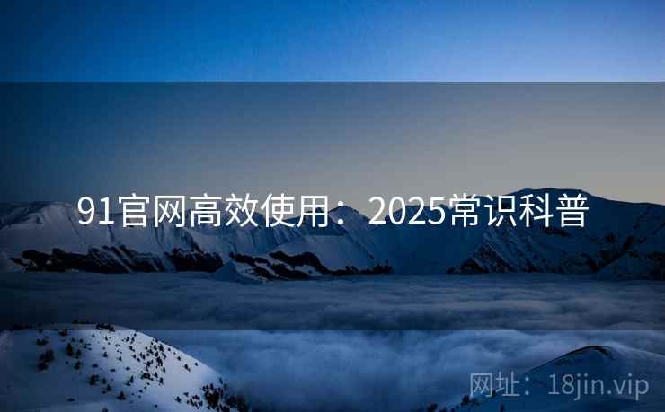 91官网高效使用：2025常识科普  第2张
