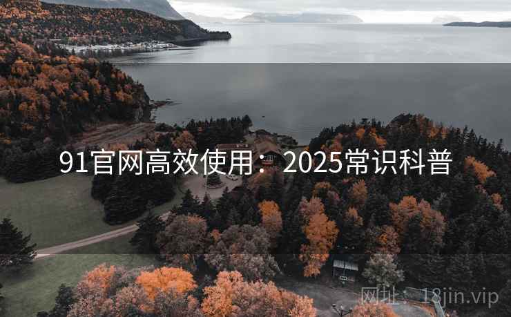 91官网高效使用：2025常识科普  第1张